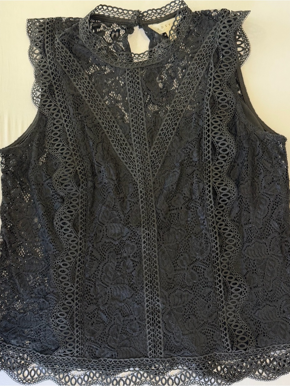 Diva Black Lace Sleeveless High-Neck Camisole